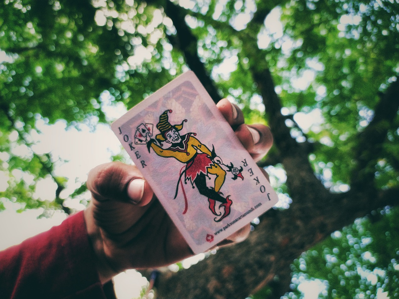 Joker Card Game Playing Card Trees - FredHan / Pixabay